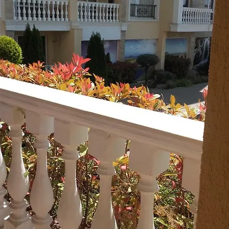 Sofi سفيتي فلاس